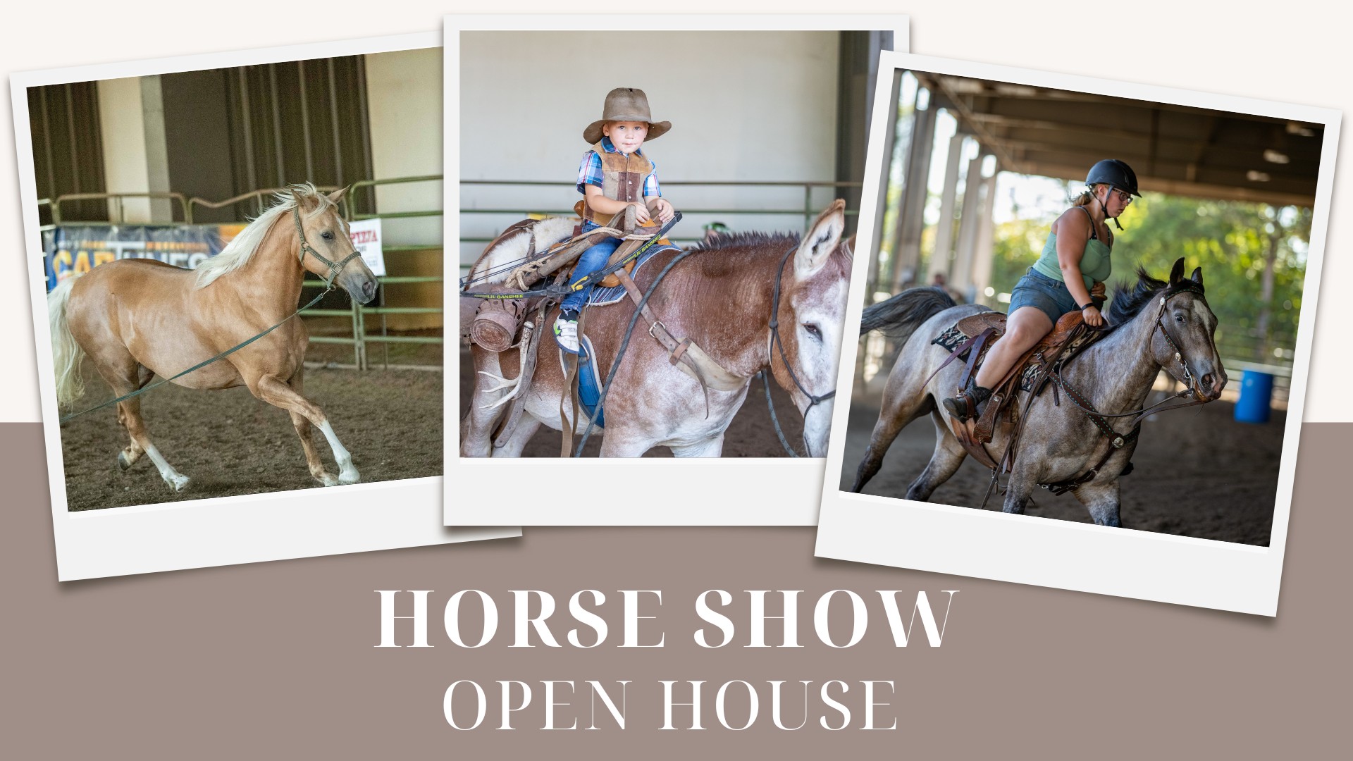Lane County Fair Horse Show Open House